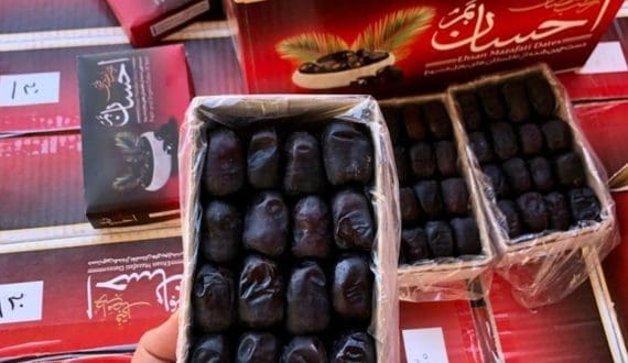 Thumbnail for US tariffs on Mexican imports spark concerns in Kenya’s avocado industry