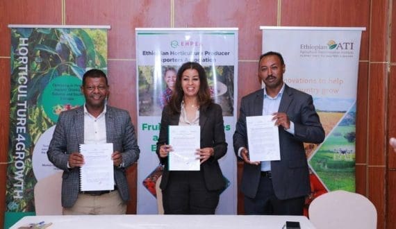 Thumbnail for Silal farmers gain firsthand experience in agric innovations through global benchmarking