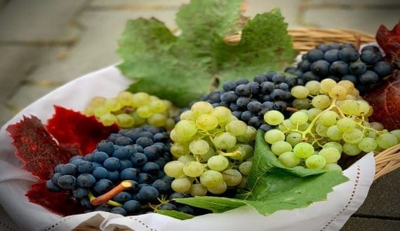 Thumbnail for HarvestEye, HyFun Foods partner to improve India’s potato industry