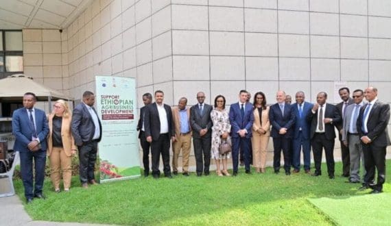 Thumbnail for Cashew nut season begins in Guinea-Bissau, farmers expect strong demand