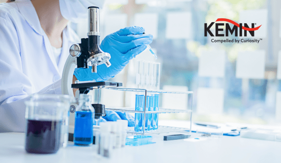 Thumbnail for EU imposes tariffs on US food and drinks in response to steel, aluminum dispute 