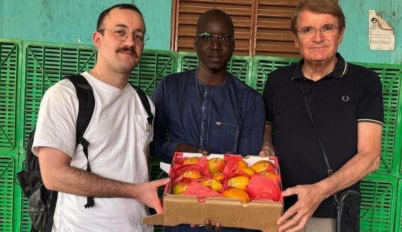 Thumbnail for Guinea-Bissau raises cashew farmgate price by 37% for 2024 season 