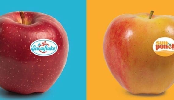 Thumbnail for Nestlé introduces new KITKAT professional spread strengthening its portfolio