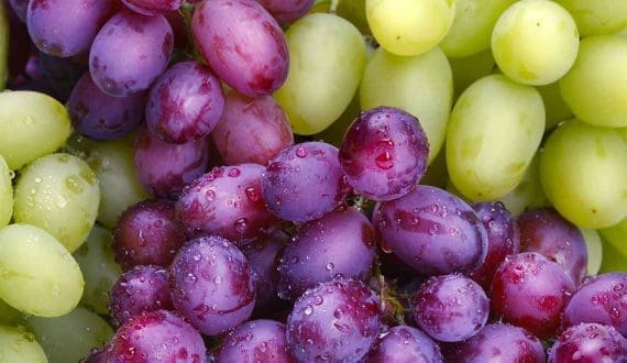 Thumbnail for CMA CGM announces US$20B investment in US maritime sector