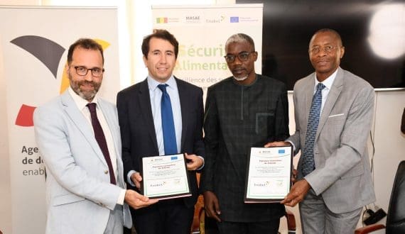 Thumbnail for Kenya’s sugar production rises 5% despite decline in cane crushing 