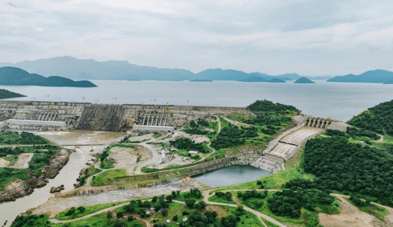 Thumbnail for France allows poultry back outdoors as bird flu cases decline