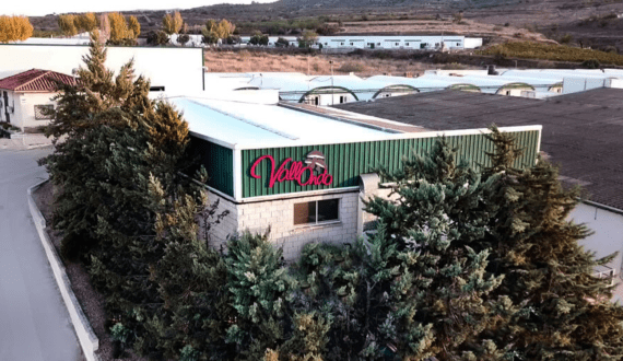 Thumbnail for RCL Foods reports 38.8% increase in half-year earnings for FY2025