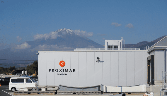 Thumbnail for Proximar Seafood reports strong Q4 despite reduced harvest