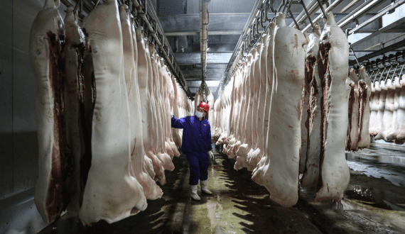 Thumbnail for MSC adjusts fleet strategy amid market shifts