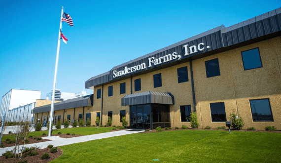 Thumbnail for Mission Barns receives FDA approval to sell cultivated pork products in the US