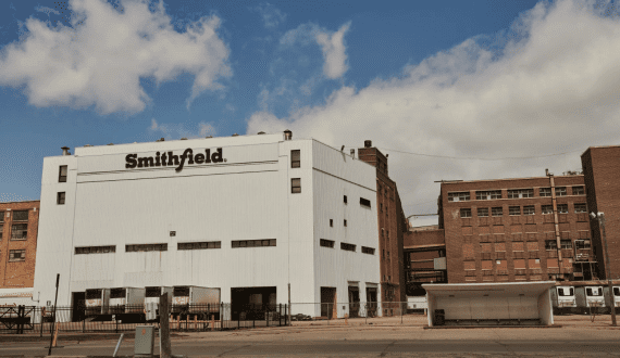 Thumbnail for Guinea-Bissau raises cashew farmgate price by 37% for 2024 season 