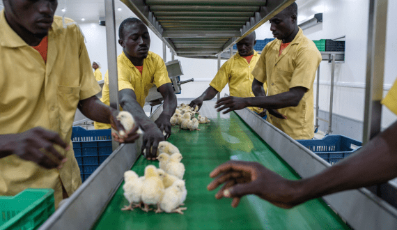 Thumbnail for Nestlé R&D collaborates with EDB to deliver sustainable nutritious food