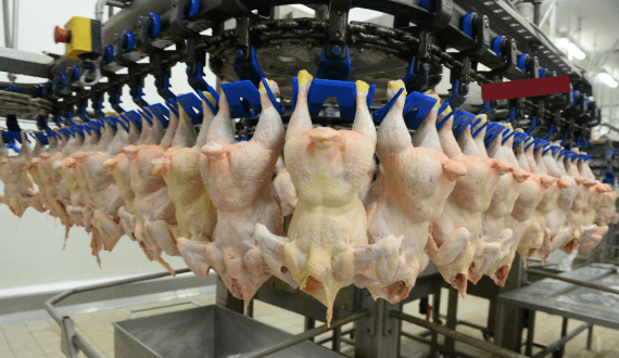 Thumbnail for Cargill, Foster Farms to shut down poultry plants as demand declines
