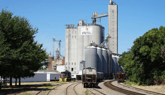 Thumbnail for Sundaily to invest in China’s largest cage-free egg farm