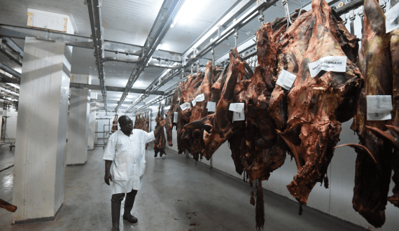 Thumbnail for Undeclared allergens, ingredients prompt widespread recalls in the U.S.