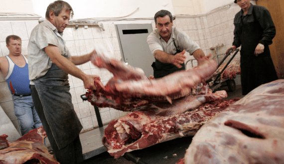 Thumbnail for US pork industry calls for tarriff exemption by Canada