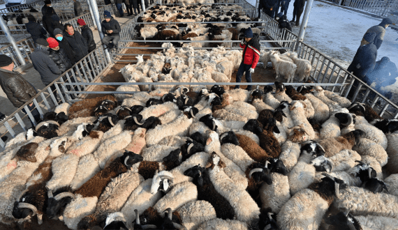 Thumbnail for Cargill Incorporated set to expand its business in China