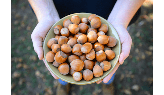 Thumbnail for Morocco enforces ban on female sheep, goat slaughter until 2026 due to meat, livestock crisis