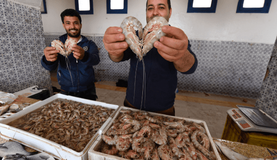 Thumbnail for Macfrut 2025 strengthens global access through Emirates partnership