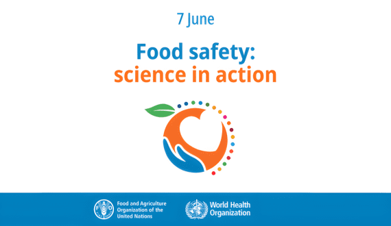 Thumbnail for yourharvest eyes Middle East expansion amid growing dried fruit demand