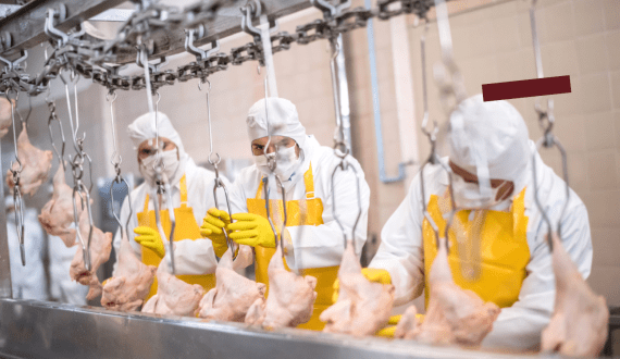 Thumbnail for Burkina Faso to set up meat export system through new national slaughter agency