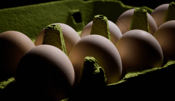 Thumbnail for US seeks European egg imports as prices continue to soar