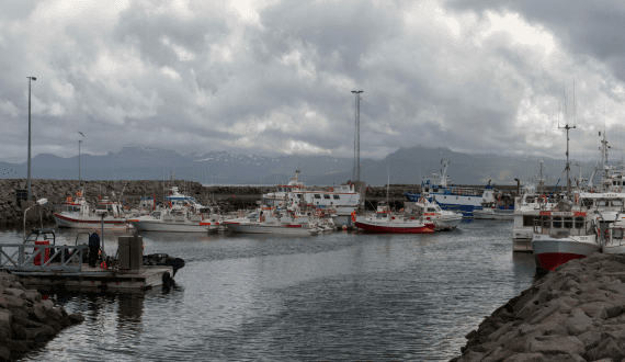 Thumbnail for Kandhari Global Beverages seeks approval to acquire Hindustan Coca-Cola assets in Gujarat and Diu 