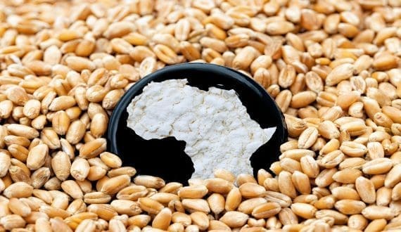 Thumbnail for Kifiya expands digital lending to one million Ethiopian farmers