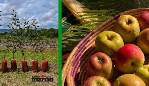 Thumbnail for Equifruit recognized among Canada’s top growing women-led companies