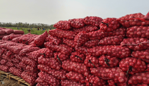 Thumbnail for Kenya strikes US$430M agricultural investment deal with China