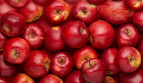 Thumbnail for GFSI 2025 Conference concludes with a call for enhanced food safety, transparent food systems