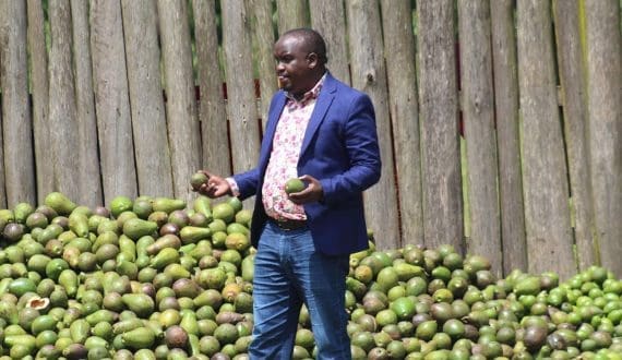 Thumbnail for Tanzania’s sugar sector growth accelerates as investments boost production, stabilize market 