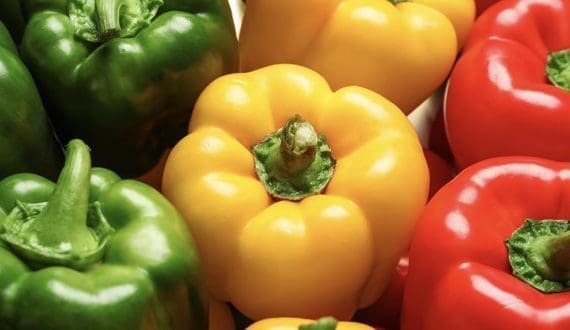 Thumbnail for Food colors market size to reach US$10.40B by 2033 – Straits Research reports