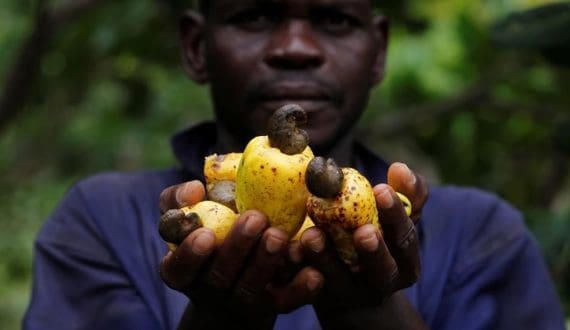 Thumbnail for Kerry expands in East Africa with first taste manufacturing facility in Rwanda