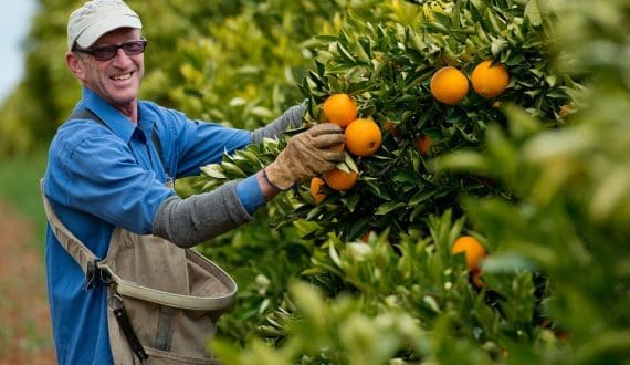 Thumbnail for CMA CGM, Mistral AI sign US$110M deal to improve shipping efficiency