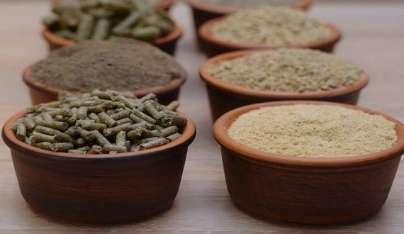 Thumbnail for Pakistan proposes 20% health tax on ultra-processed foods, beverages in FY2025-26 budget 