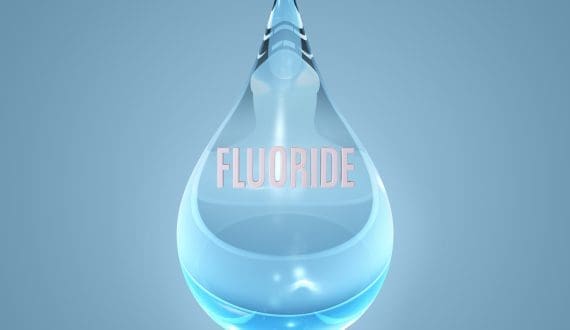 Thumbnail for Global Eggs to acquire Hillandale Farms for US$1.1B