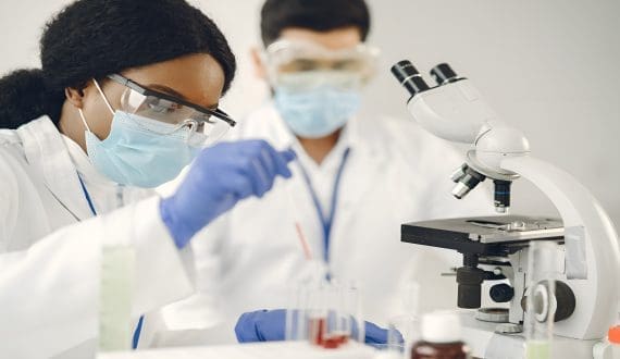 Thumbnail for Anton Rabe elected Chairperson of Fruit South Africa