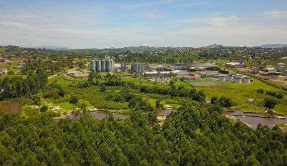 Thumbnail for Brazil’s aquaculture industry production hit more than 900,000 tonnes in 2024 – Brazilian Farming Fish Association