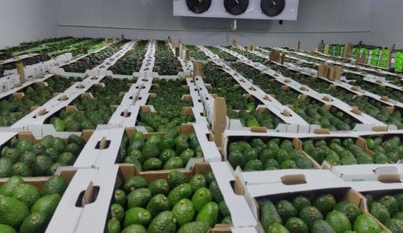 Thumbnail for Mars Inc., expands its product line with manufacture of Snickers in Egypt