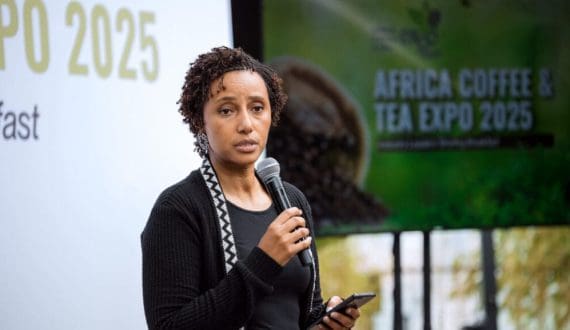 Thumbnail for Nigerian Breweries records US$703.3M revenue in 2024 amid economic challenges, innovation drive