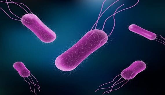 Thumbnail for DP World strengthens Namibia’s cold chain with new Walvis Bay warehouse