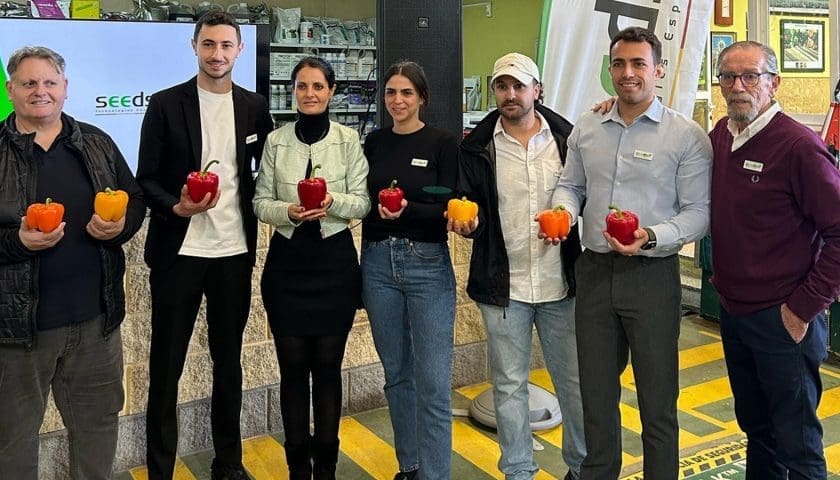 Thumbnail for Seeds Technologies expands operations with new Spanish subsidiary