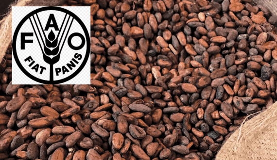 Thumbnail for Uganda launches direct flights to London opening new avenues for agricultural exports