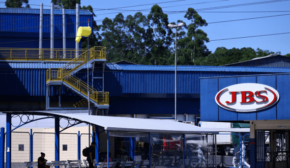 Thumbnail for South Africa’s poultry industry faces growing threat of avian flu