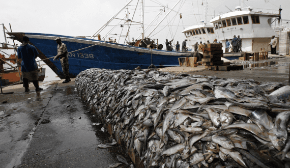 Thumbnail for Kenyan government allocates US$143K to revive dormant Kimuri Coffee Factory 