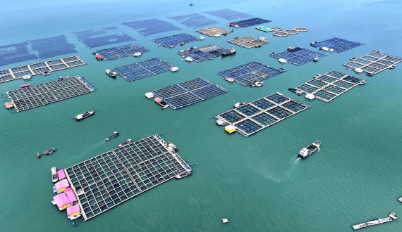 Thumbnail for Danish Crown to divide its core business into three units