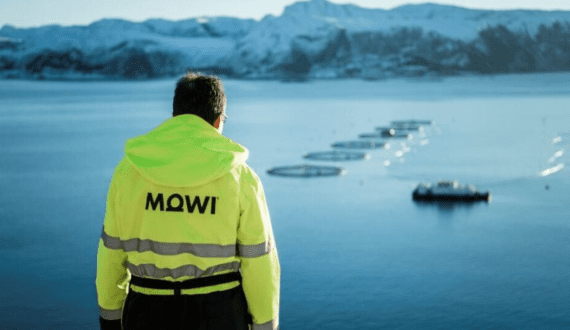Thumbnail for SeaQureFarming Group to acquire seafood related assets from Mowi