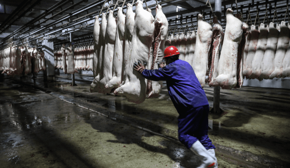 Thumbnail for Japan’s pork industry to stay steady despite inflation and supply challenges – USDA FAS
