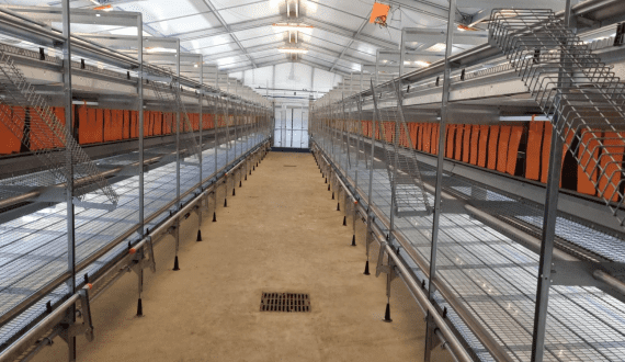 Thumbnail for Ethiopia’s coffee export revenue hits record US$1.5B in nine months